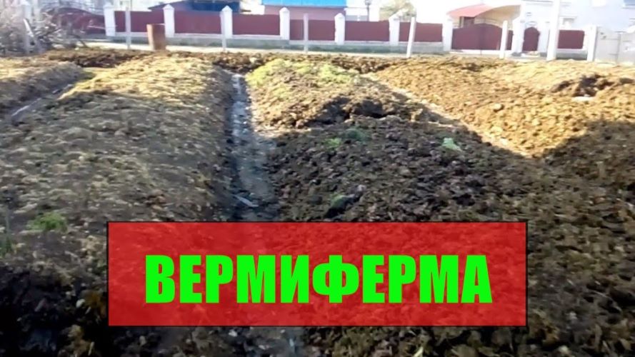 [Вермиферма] Разведение червей и производство биог_0.jpg